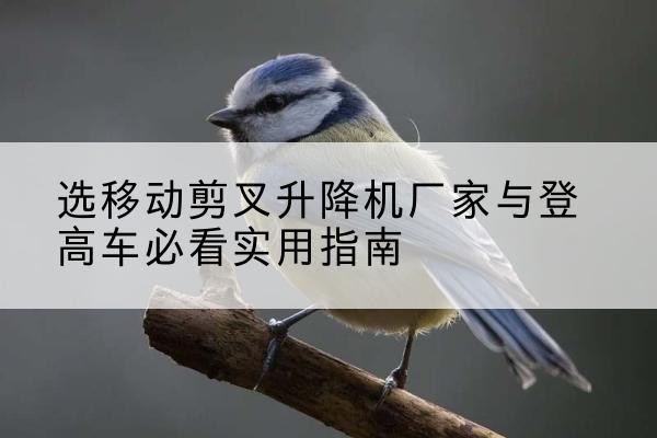 科尔沁右翼前旗电动升降机厂家-选移动剪叉升降机厂家与登高车必看实用指南
