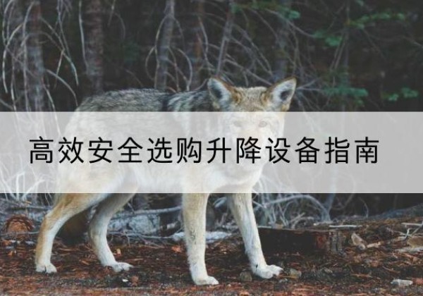 科尔沁右翼前旗升降货梯厂家推荐-*安全选购升降设备指南